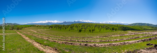 Mountains, trees and sky in the countryside in Kyrgyzstan