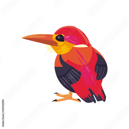 flat beautiful red jackdaw