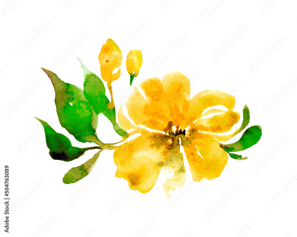 Naklejka premium Delicate watercolor yellow flower and green buds of opuntia cactus (prickly pear) isolated on white background
