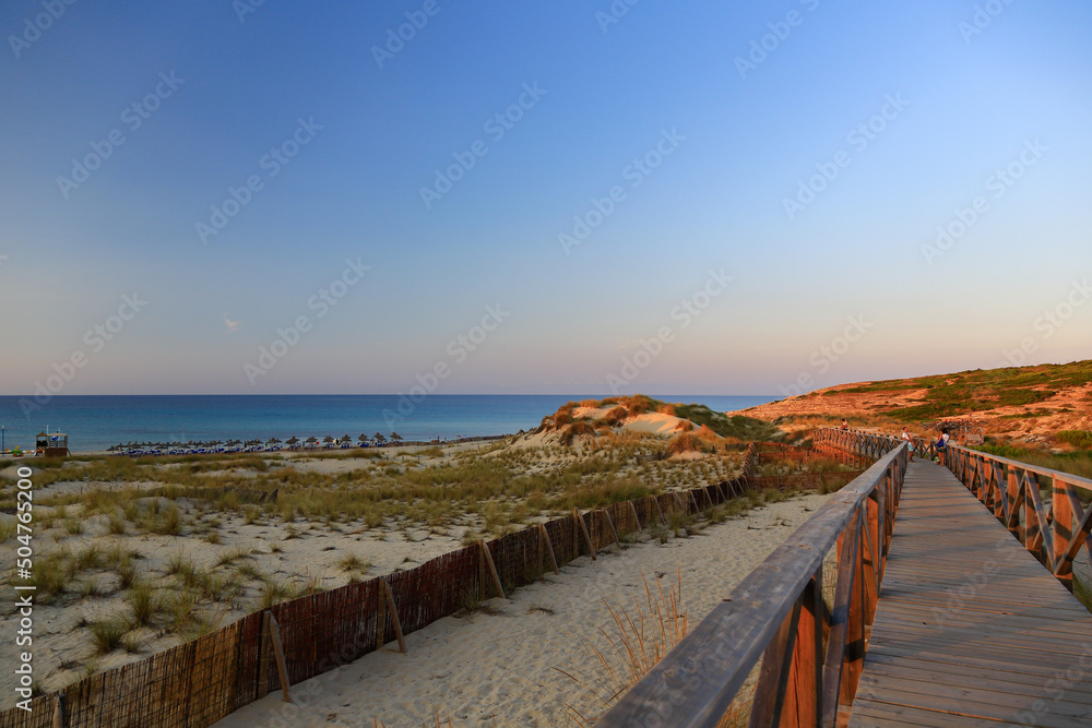 A boardwalk and fences protecting the beautiful dunes landscape of Cala Mesquida, Mallorca-a nature reserve along a hillside pine-tree forest with panorama view to the sea, sunset, evening atmosphere