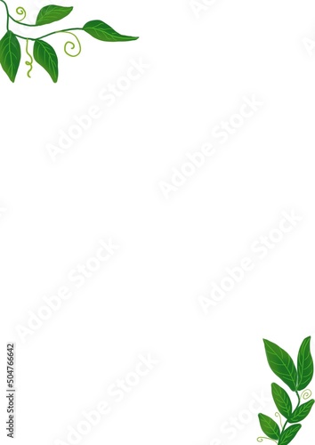 Plants A4 Digital Download  Printable  Stationery