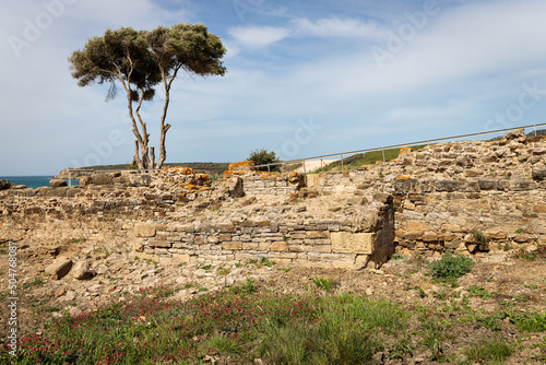 Roman ruins of Baelo Claudia, located near Tarifa. Andalucia. Spain. photo