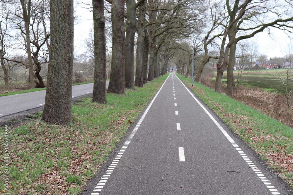 Fototapeta premium Fahrradweg entlang der Hauptstraße.