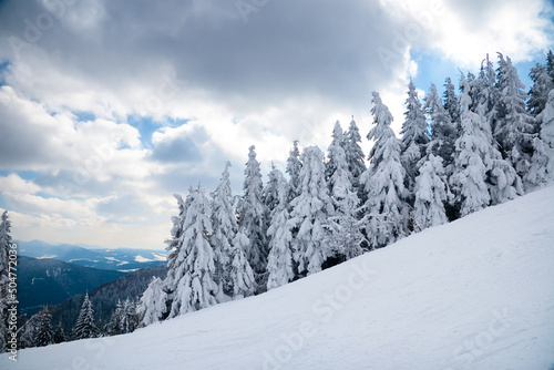 View from the top of mountain on forest in frost and low cloud. photo