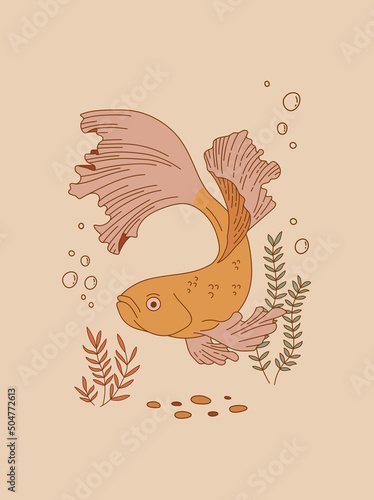 Vintage aquarium fish vector illustration. Oriental poster design. Underwater animal retro print.