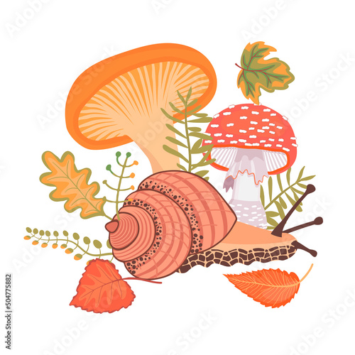 Natural composition of forest mushrooms, snail and autumn leaves isolated on white.Colorful autumn fall background for printing on fabric and paper.Detailed vector flat llustration for design card.