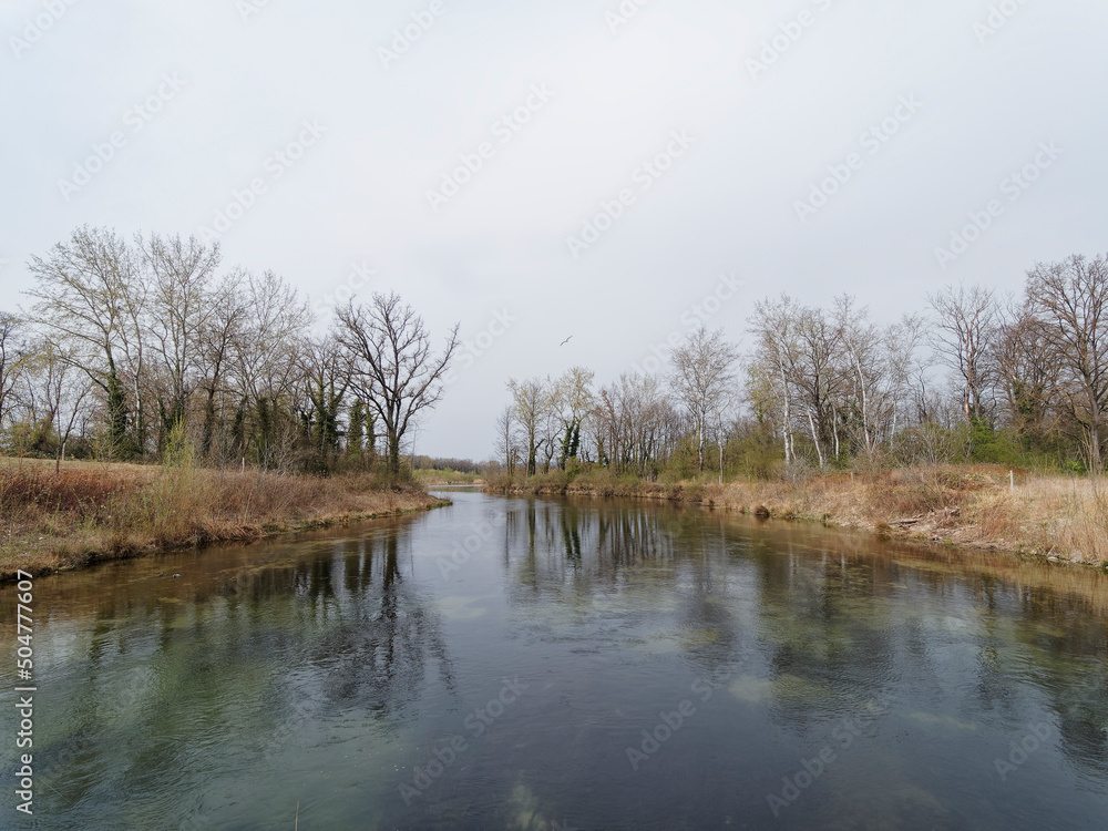 Bras du Petit Rhin au centre de la Petite Camargue Alsacienne dans le ...