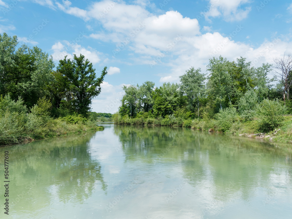 Petite Camargue Alsacienne dans le Haut-Rhin. La réserve naturelle et les eaux du Petit Rhin au milieu d' ïle sur le Rhin entre le Grand Canal d'Alsace et le Vieux Rhin Petite Camargue Alsacienne dans le Haut-Rhin. La réserve naturelle et les eaux du Petit Rhin au milieu d' ïle sur le Rhin entre le Grand Canal d'Alsace et le Vieux Rhin