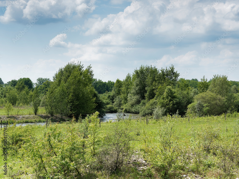 Obraz premium Petite Camargue Alsacienne dans le Haut-Rhin. La réserve naturelle et les eaux du Petit Rhin au milieu d' ïle sur le Rhin entre le Grand Canal d'Alsace et le Vieux Rhin