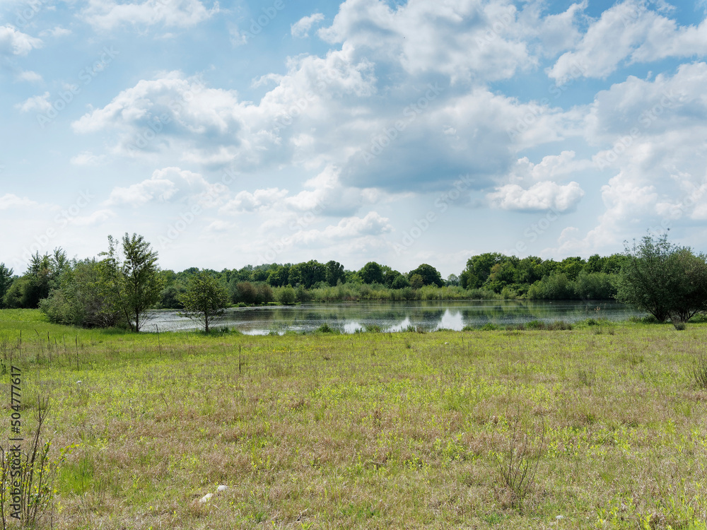 Bras du Petit Rhin au centre de la Petite Camargue Alsacienne dans le ...