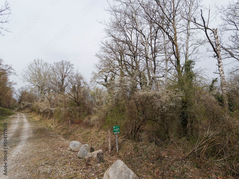 La petite Camargue Alsacienne dans le Haut-Rhin. Sentier de la réserve ...