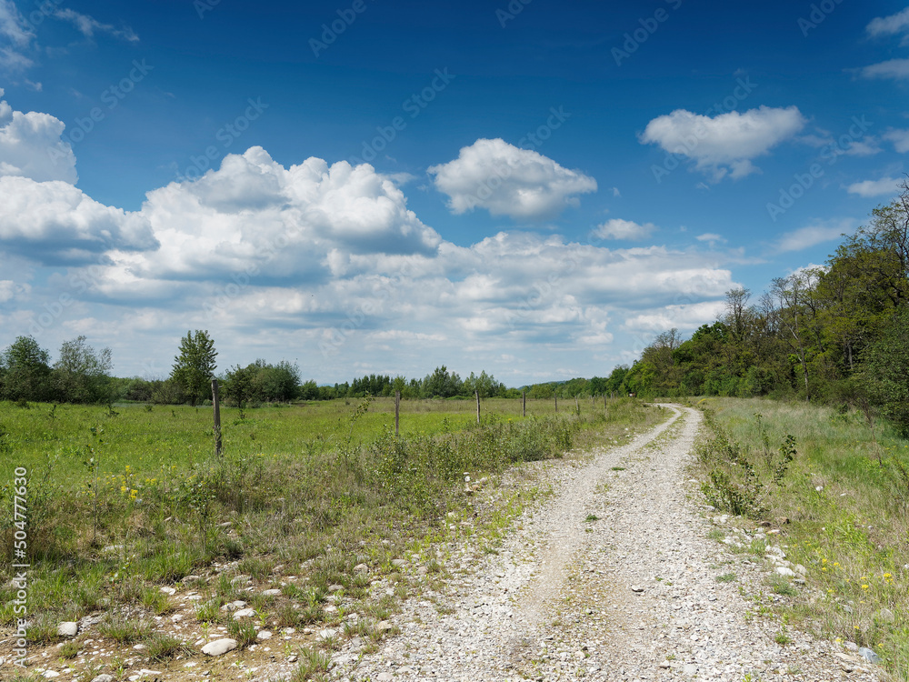 Stockfoto La petite Camargue Alsacienne dans le Haut-Rhin. Sentier de ...
