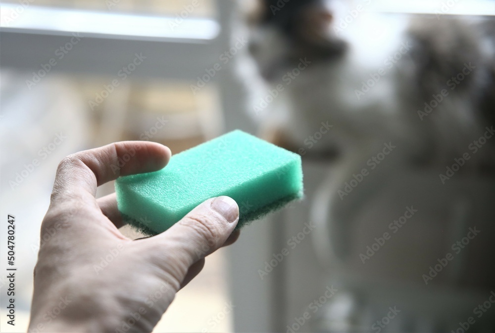 person holding a green sponge medicine care hygiene