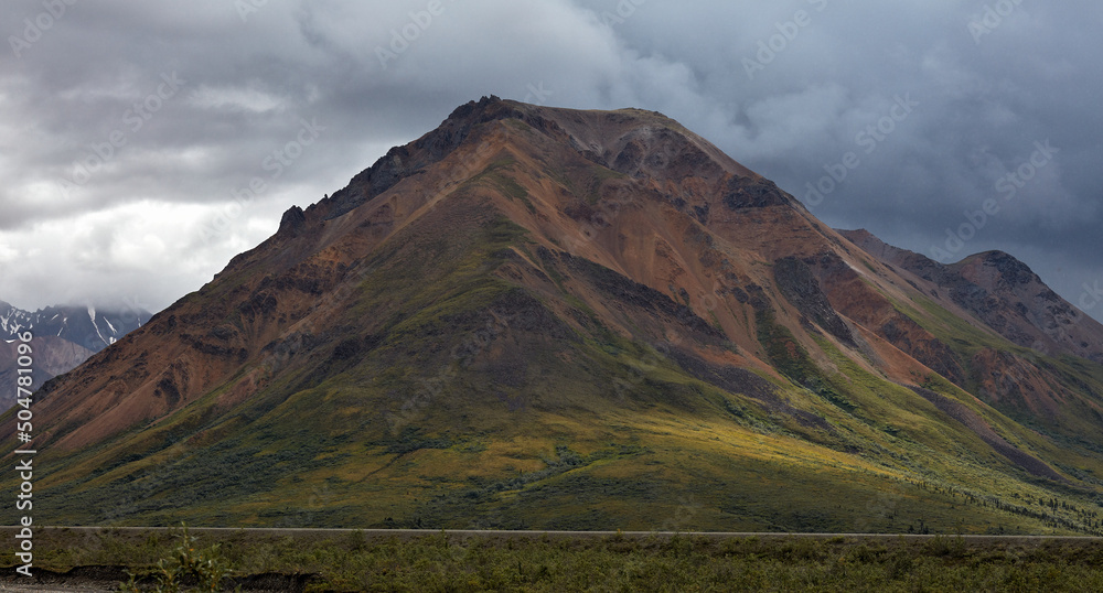 Denali National Park