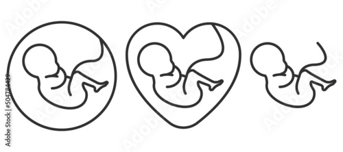 Fetus icon. Prenatal human child with placenta symbol. Embryo sign. Vector illustration. photo