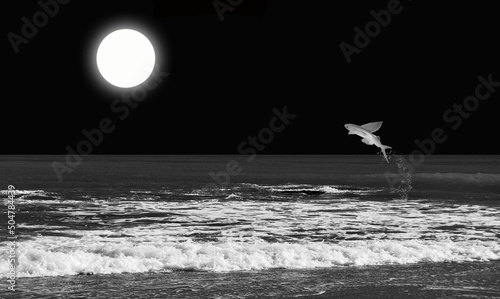 Mar, pez volador y luna llena. Paisaje nocturno. Ilustración. photo