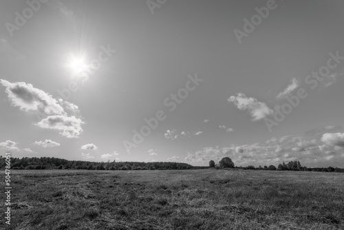 Field and forest under the ...