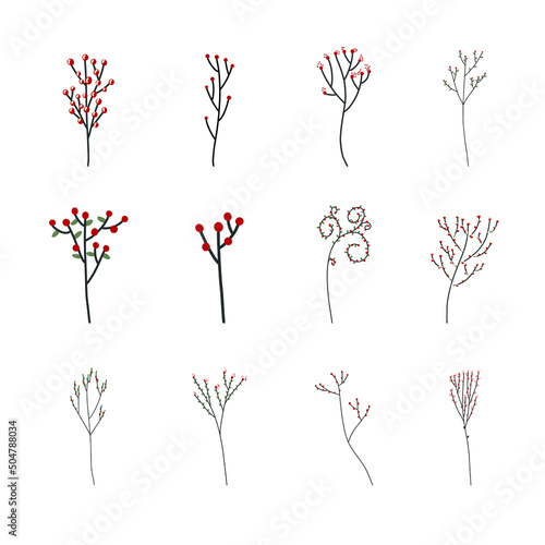 Aquifolium tree and holly for decoration vector collection 
