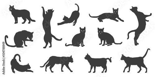 cat silhouettes 2022