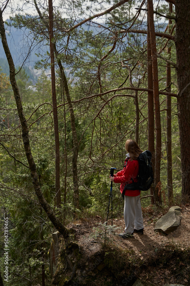 Tourist hiking in forest with Nordic walking poles