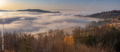 Fototapeta Naklejka Na Ścianę i Meble -  Misty mountain forest landscape in the morning, Beskid Sadecki mountain range, Poland.