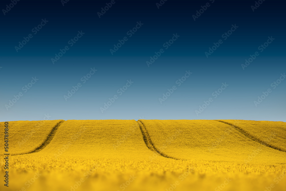 Pole