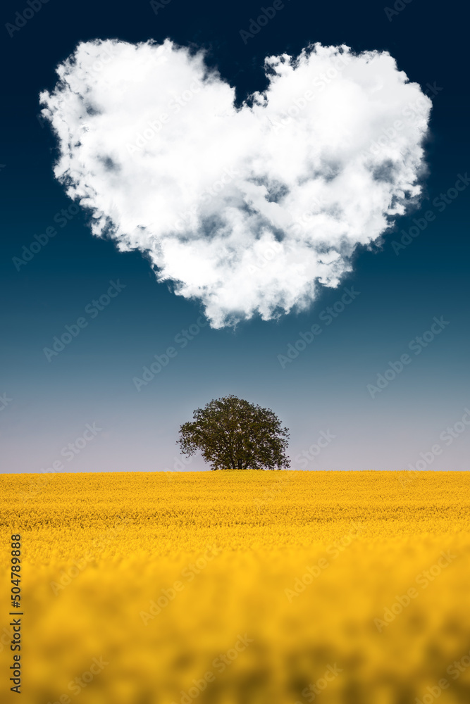 Ukraina