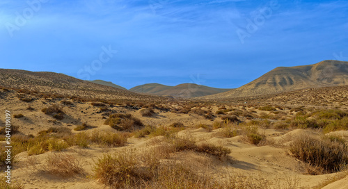 Fuerteventura