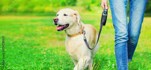 Owner woman walking with her Golden Retriever dog on leash in summer park