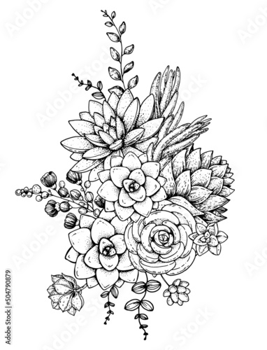 Succulent sketch composition. Hand drawn vector illustration. Floral sketch. Tattoo vintage print. Illustration for t-shirt print, fabric,greeting cards, wedding invites and other uses.