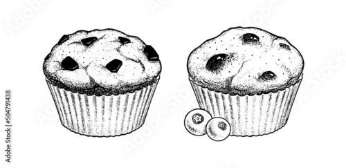 Vector sketch illustration of Muffins