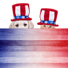 Patriotic American pet cat dog for July 4th fourth, Memorial, Labor, President Day sign poster flyer