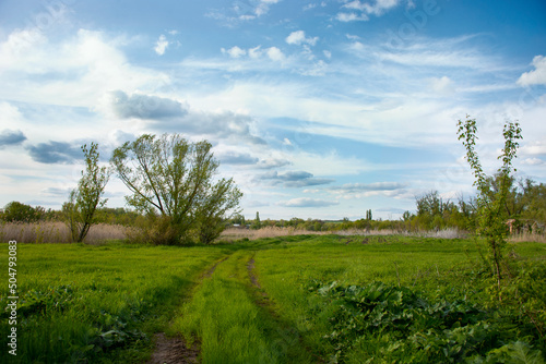 a field at the day time