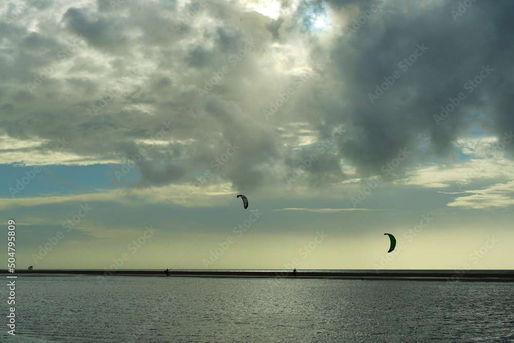 Obraz premium Cerf-volant