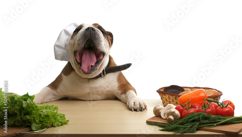 Funny english bulldog in chef's hat with food for pets. isolated on white background. chef cooking food kitchen restaurant cutting cook hands hotel man male knife preparation fresh preparing concept