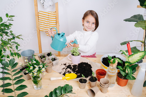 Portrait of a diligent girl watering a young plant in a pot on a table. photo