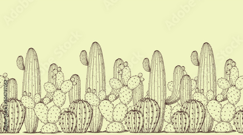 Cacti sketch illustration. Hand drawn border with cacti. Vector illustration. Vintage sketch.