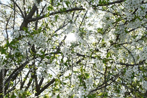 knitted blue shopping bag string bag