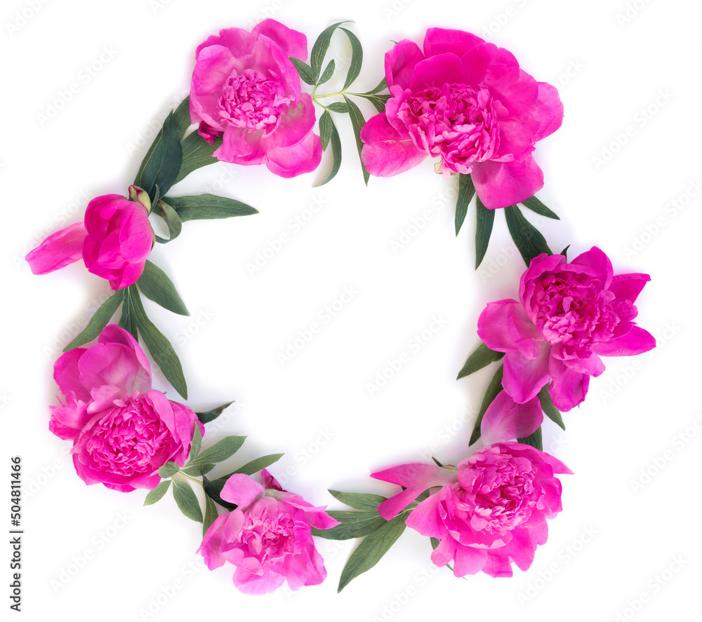 Round garland of beautiful pink peonies on white isolated background. Creative floral wreath.