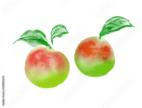 梅の実の 手描き和風イラスト