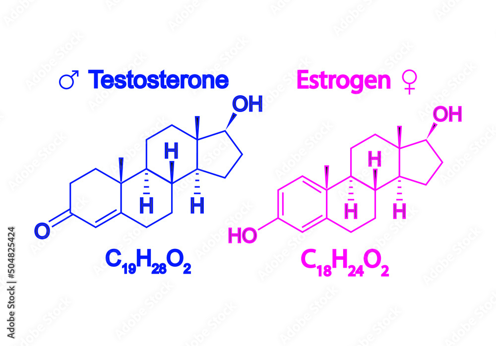 Stockvector Humain Sex Hormones Molecular Formula Estrogen And Testosterone Symbole Chemical 1356