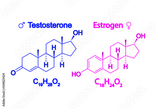 Humain Sex Hormones Molecular Formula. Estrogen And Testosterone Symbole. Chemical And Skeletal Formula. Vector Illustration. photo