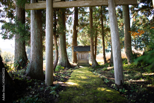 祠