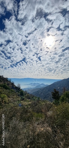 PARQUE NACIONAL PALMAS DE OCOA CHILE  photo