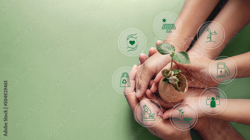 Hands holding seedling in eggshell with circular economy icons, CSR social responsibility, eco green sustainable living concept - obrazy, fototapety, plakaty 