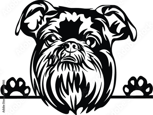 Schnauzer Peeking Dog Canine Pup Puppy Pet Mom Cute Paws Waiting Pooch Tongue Nose Face Head Funny Animal