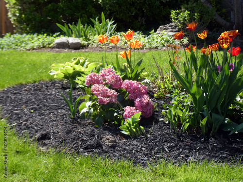 on the flower bed