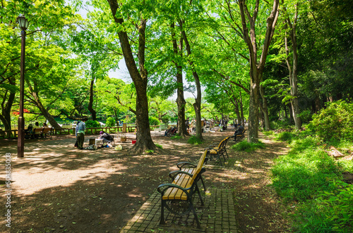 Obraz na płótnie 吉祥寺 ゴールデンウィークの井の頭公園 w salonie