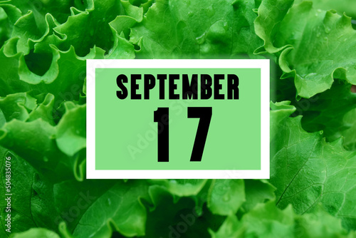 calendar date oncalendar date on the background of green lettuce leaves.  September 17 is the seventeenth day of the month photo