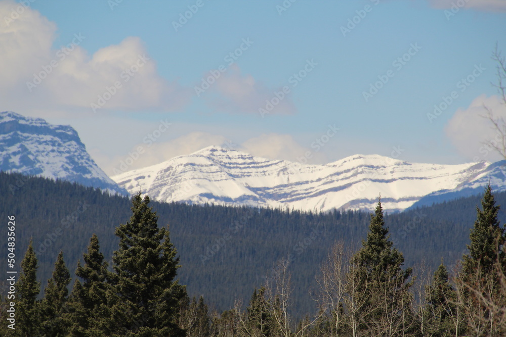 Snowy Ridge, Nordegg, Alberta